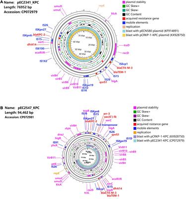 Complete Genome Sequences of Two Novel KPC-2-Producing IncU Multidrug-Resistant Plasmids From International High-Risk Clones of Escherichia coli in China